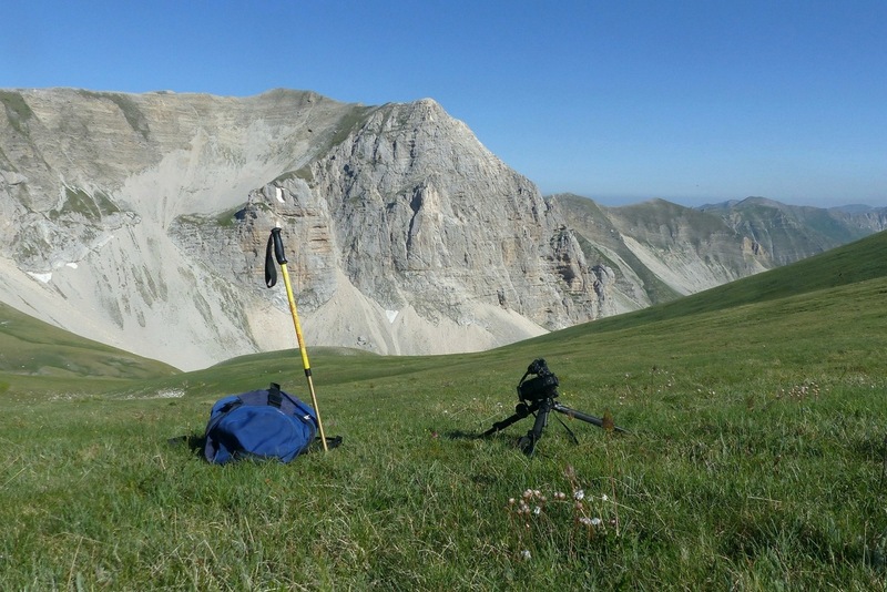 Orchidee e fiori del Monte Vettore e del Lago di Pilato � 26 giugno 2025.